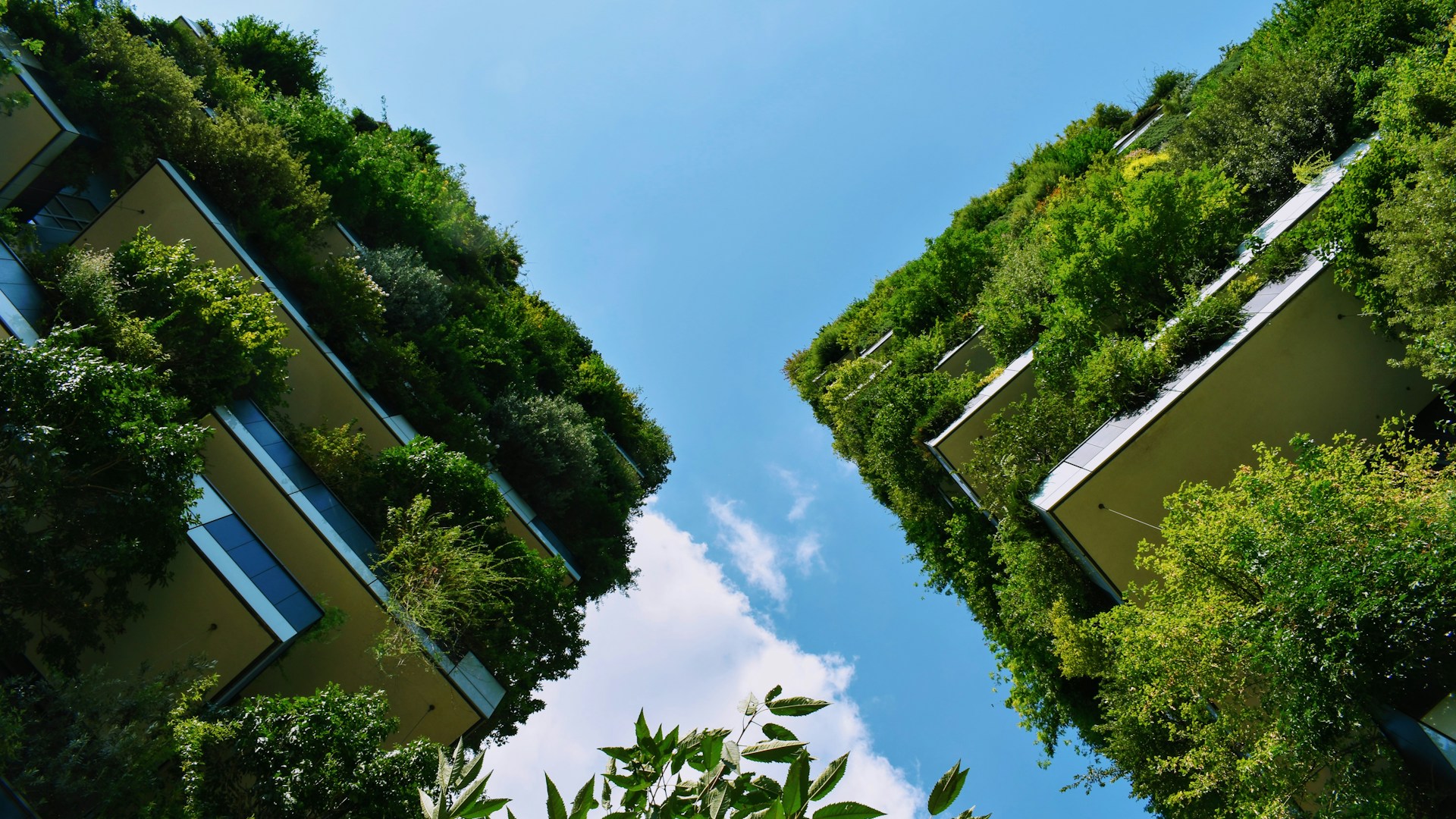 low-angle photography of buildings with plants on it
