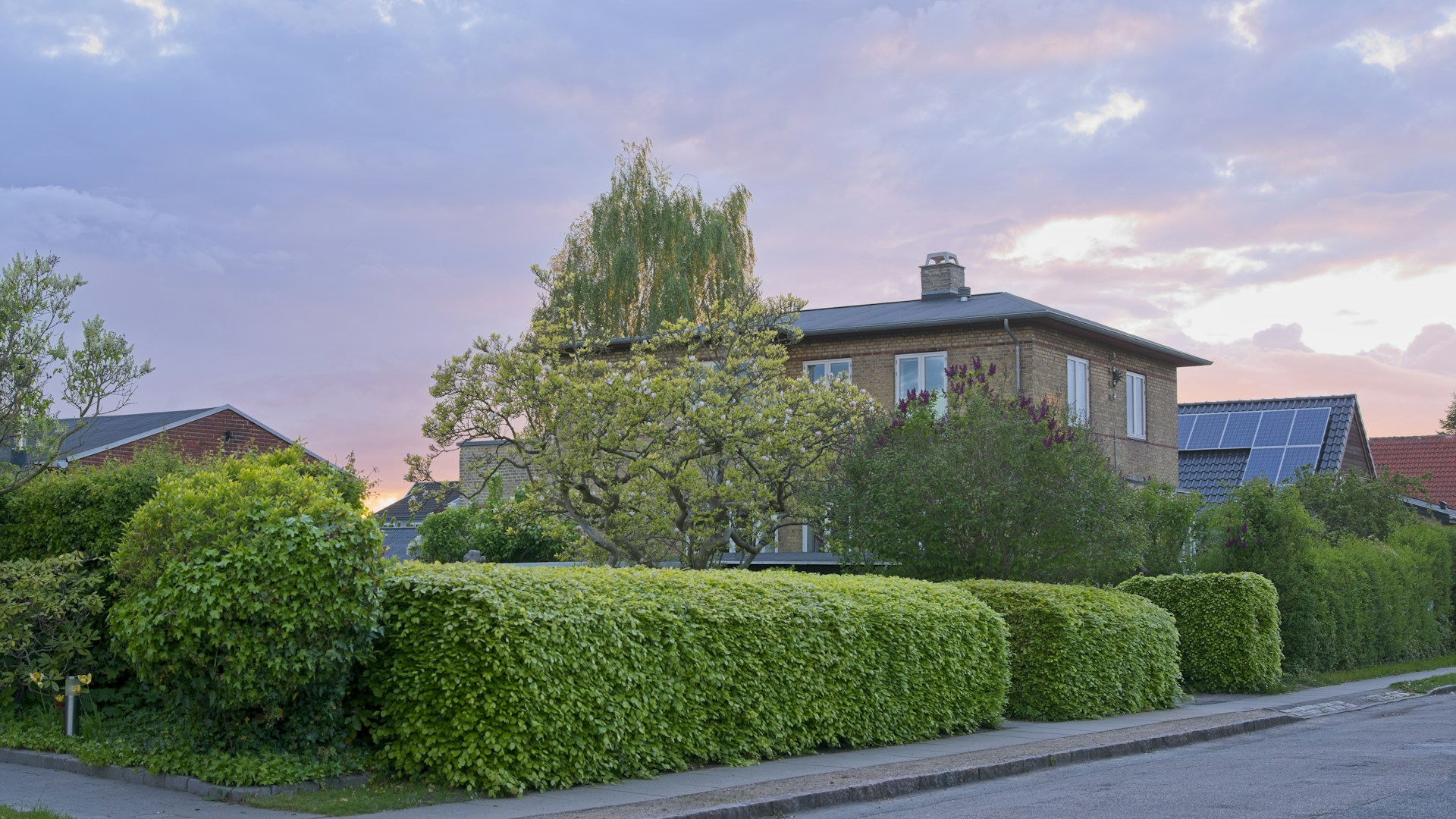 Houses with green hedges and trees under a colorful sky.
