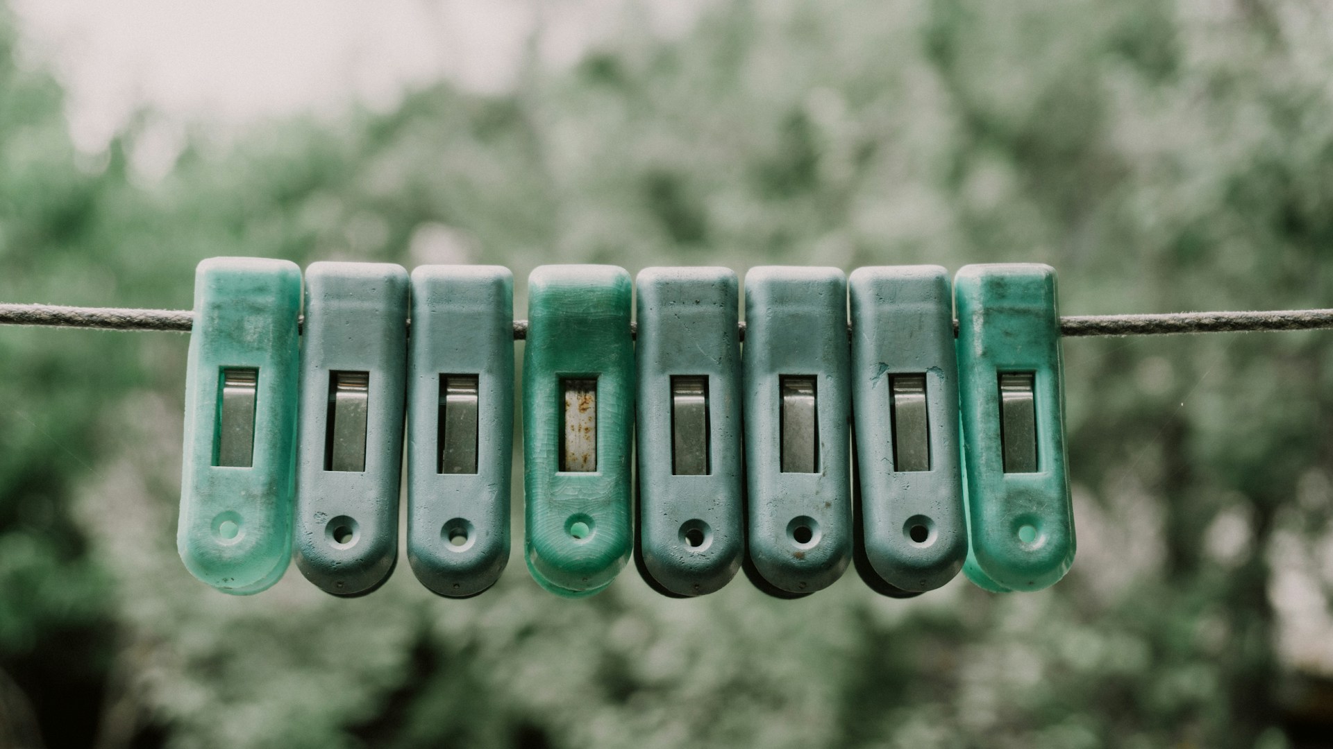 Green clothespins lined up on a wire