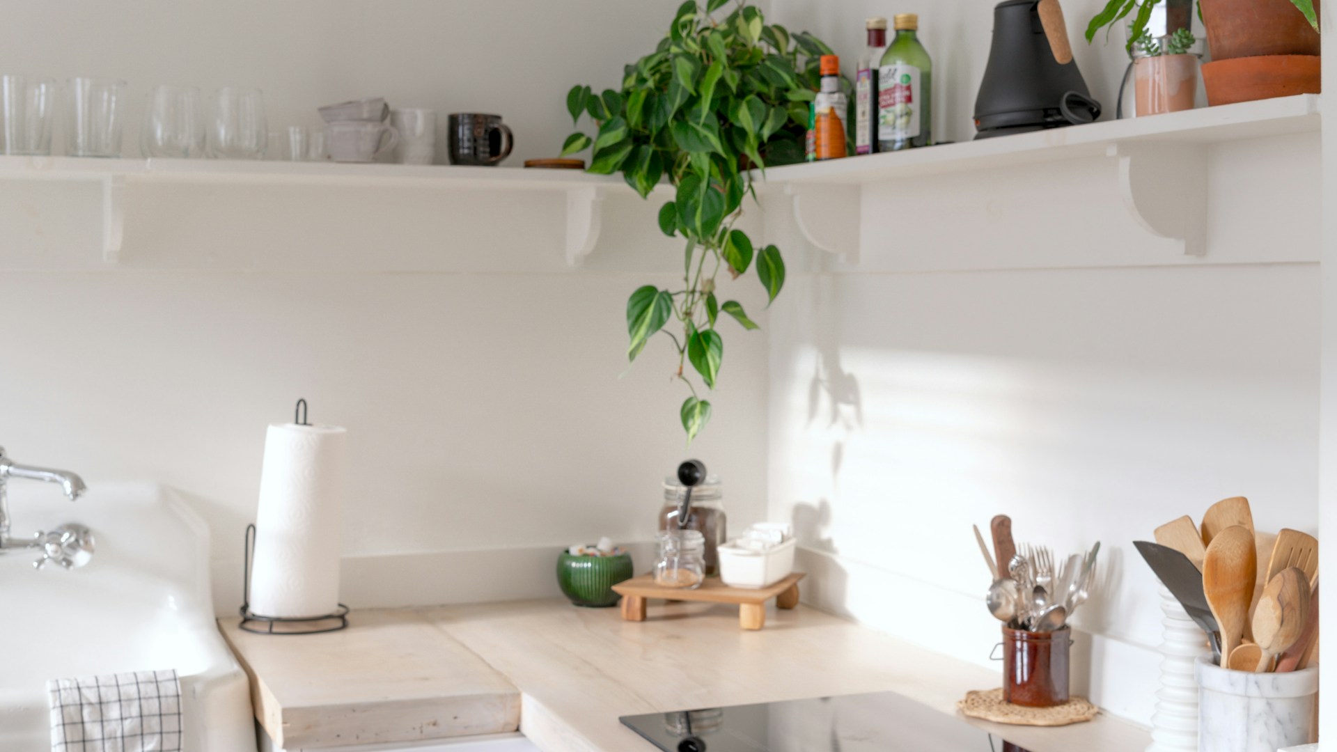 A bright, minimalist kitchen with plants, shelves, and a cooktop.