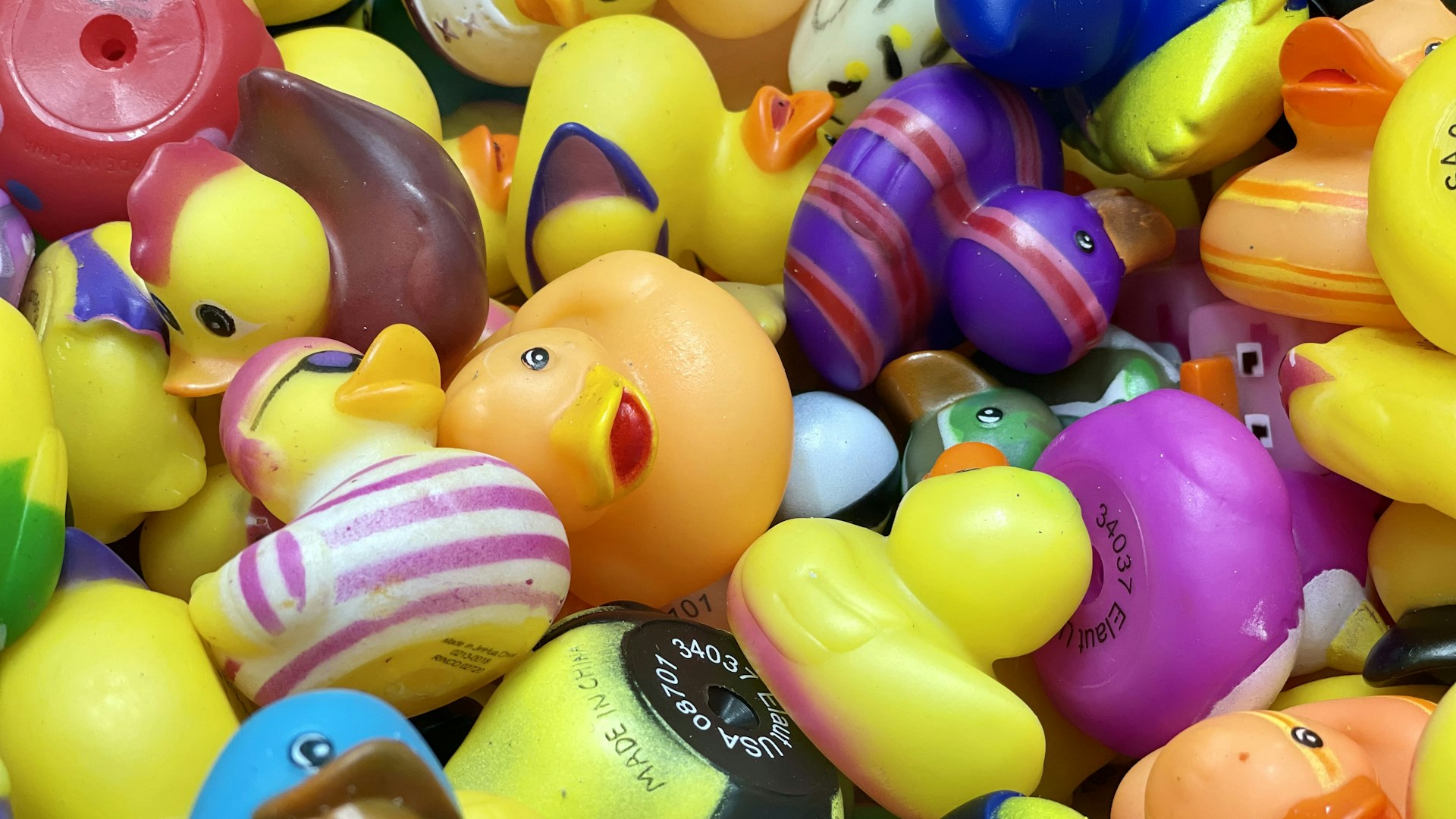 a pile of rubber ducks
