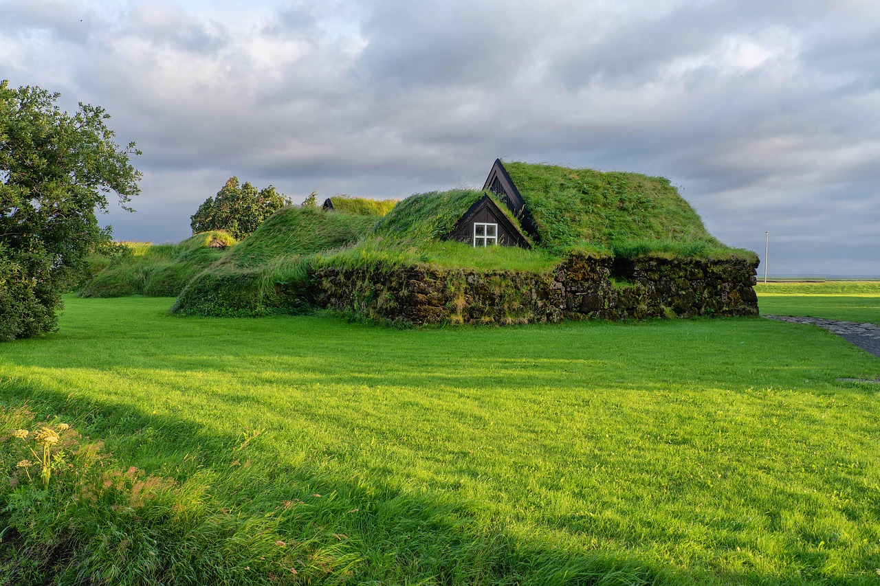 house, green, grass, iceland, village, landscape, travel, nature, house, house, house, iceland, iceland, village, villag