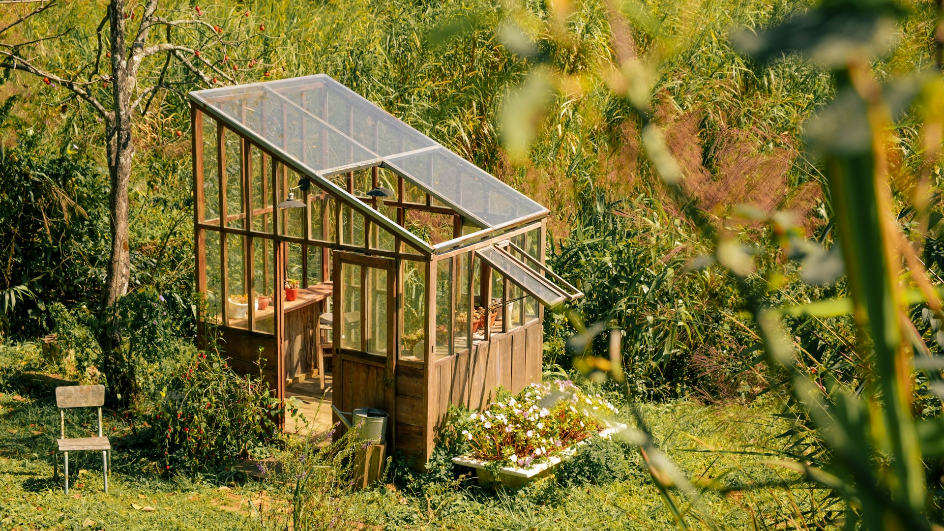 Wooden greenhouse surrounded by lush green foliage