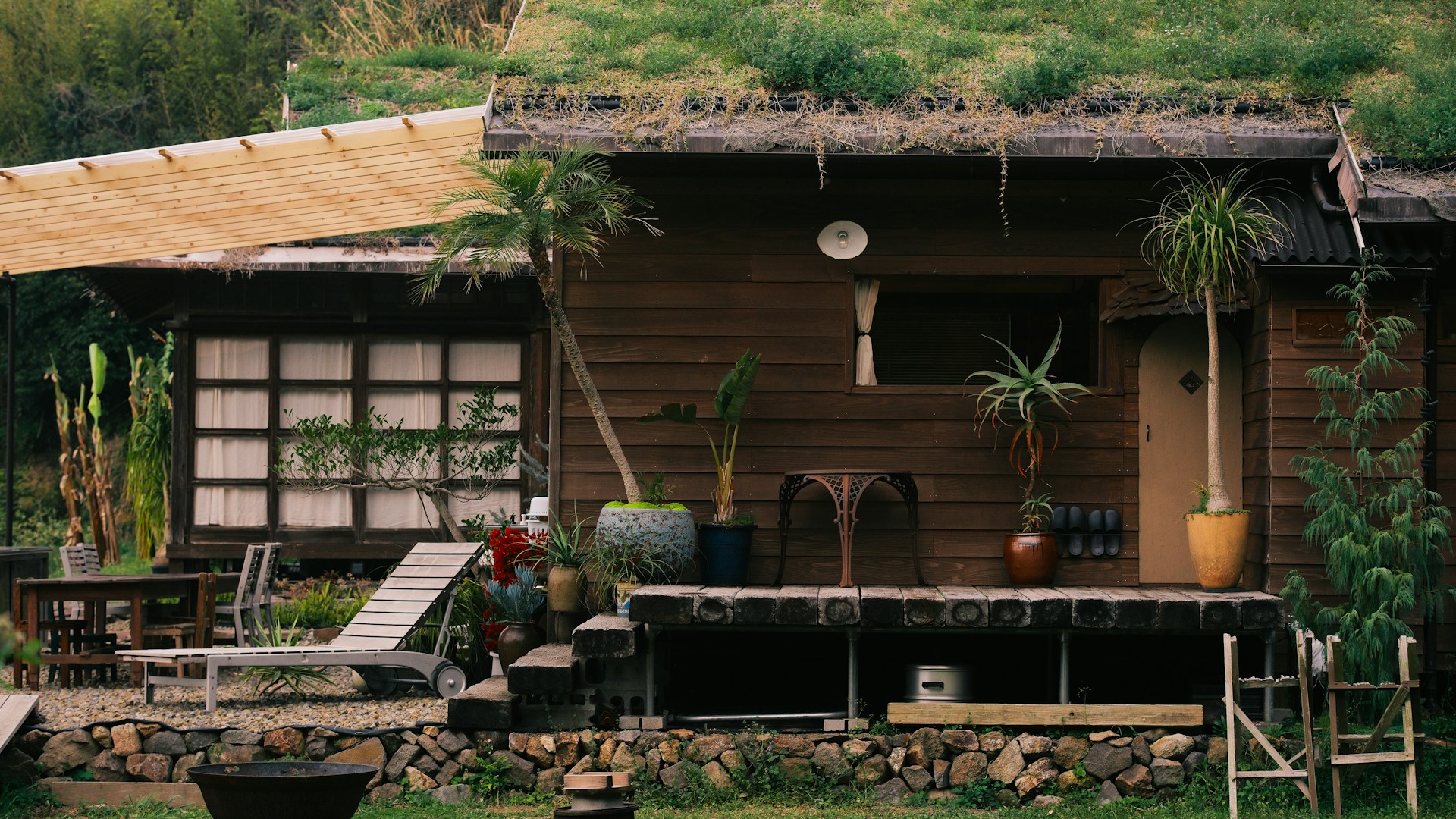 Wooden house with green roof and plants